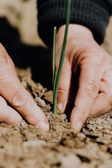 Bäckerei Kemetmüller Saat